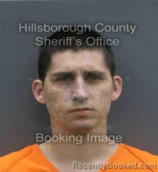 Mugshot of GABRIEL FREDDRICK JOHNSON booked in Hillsborough County, Florida on June 7, 2026