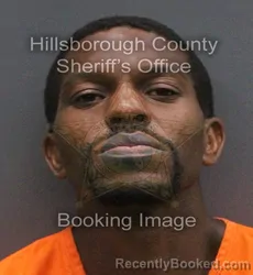 Mugshot of JEREMY WILLIAM ROLEN booked in Hillsborough County, Florida on June 7, 2026