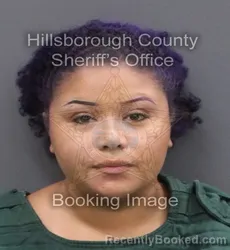 Mugshot of ELIZABETH ROSE FELICIANO booked in Hillsborough County, Florida on June 7, 2026