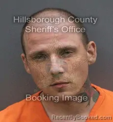 Mugshot of AUSTIN VLADISLAV LEHN booked in Hillsborough County, Florida on June 7, 2026