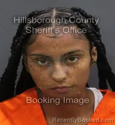 Mugshot of NUBIA ABAYOMI NAIBOA booked in Hillsborough County, Florida on June 8, 2026