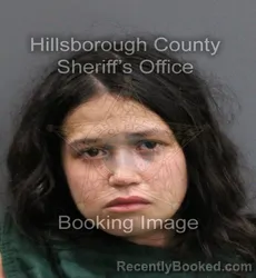 Mugshot of JULIANNA VANESSA MORALES booked in Hillsborough County, Florida on June 8, 2026