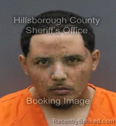 Mugshot of ERNESTO BREIJO-CASTRO booked in Hillsborough County, Florida on June 8, 2026