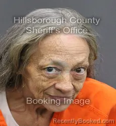 Mugshot of SHELEESA CRIDER AUSTIN booked in Hillsborough County, Florida on June 8, 2026