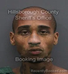 Mugshot of TOMAE RASHUN THERIOT booked in Hillsborough County, Florida on June 8, 2026