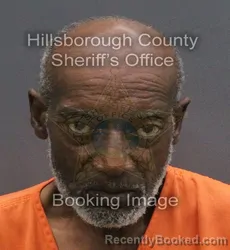Mugshot of JIMMY ERIC GALLON booked in Hillsborough County, Florida on June 8, 2026