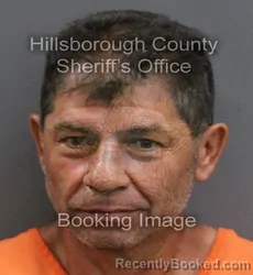 Mugshot of DALGILMAR MARTINEZ MARIN booked in Hillsborough County, Florida on June 8, 2026