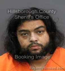 Mugshot of SAUL EDGARDO ARDON ENAMORADO booked in Hillsborough County, Florida on June 8, 2026