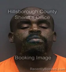 Mugshot of BONIFACE LOUISY COLBERT booked in Hillsborough County, Florida on June 8, 2026