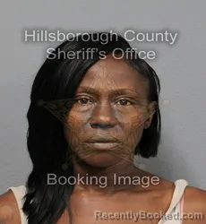 Mugshot of TIQUANDA LATACARRA WILLIAMS booked in Hillsborough County, Florida on June 8, 2026