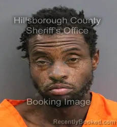 Mugshot of PARIS DENNARD BROOKS booked in Hillsborough County, Florida on June 8, 2026