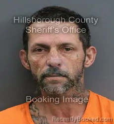 Mugshot of BILLY LEE HAMM booked in Hillsborough County, Florida on June 8, 2026