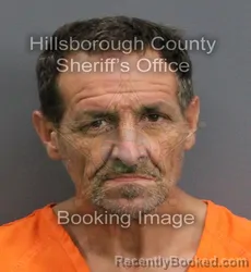 Mugshot of DOMINIC J DOSTILIO booked in Hillsborough County, Florida on June 8, 2026