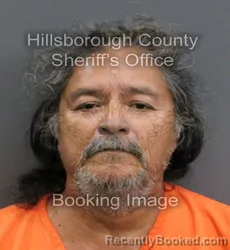 Mugshot of ROBERT ARANDA booked in Hillsborough County, Florida on June 8, 2026
