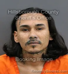 Mugshot of ISAAC JR OTERO MEZA booked in Hillsborough County, Florida on June 8, 2026