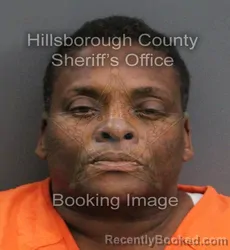 Mugshot of SHENICKA TOCHELLE WHITTINGTON booked in Hillsborough County, Florida on June 8, 2026