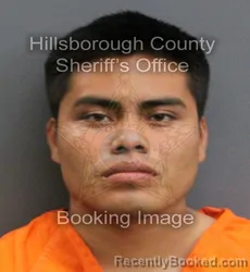 Mugshot of BRAYAN ALBERTO PEREZ-ROBLERO booked in Hillsborough County, Florida on June 8, 2026