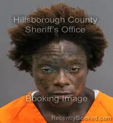 Mugshot of FRANCEIDA DELORES IGLES booked in Hillsborough County, Florida on June 8, 2026