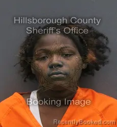 Mugshot of KYLEE LIN NEELY booked in Hillsborough County, Florida on June 8, 2026