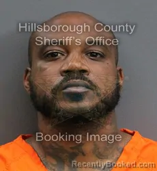 Mugshot of FREDERICK DAVON NELSON booked in Hillsborough County, Florida on June 8, 2026