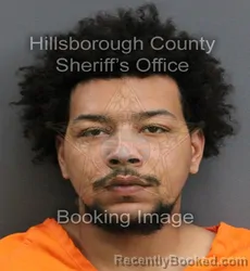 Mugshot of ELIJAH LEVON ELLIS booked in Hillsborough County, Florida on June 8, 2026
