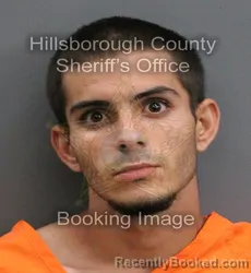 Mugshot of LEINIER REYES DELGADO booked in Hillsborough County, Florida on June 8, 2026