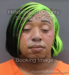 Mugshot of ANDRE W POMPEY booked in Hillsborough County, Florida on June 8, 2026