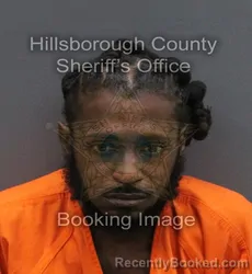 Mugshot of TAIUS JAMIR ANTONIO DAVIS SR booked in Hillsborough County, Florida on June 8, 2026