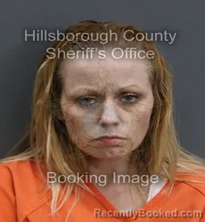 Mugshot of CRYSTAL COLE booked in Hillsborough County, Florida on June 8, 2026