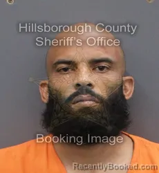 Mugshot of MISHAEL E WILSON booked in Hillsborough County, Florida on June 8, 2026