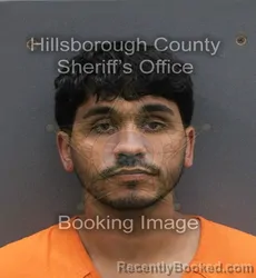 Mugshot of RYAN NICHOLAS FLORES booked in Hillsborough County, Florida on June 8, 2026