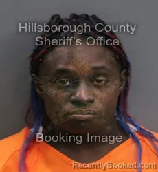Mugshot of CHERRAE DEVONNE WARE booked in Hillsborough County, Florida on June 8, 2026