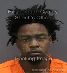 Mugshot of RIYON ANDRE MCCRAY booked in Hillsborough County, Florida on June 8, 2026