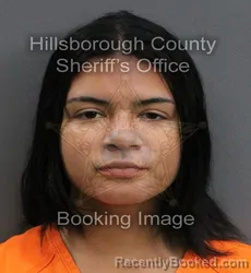 Mugshot of MIRANDA OVALLE booked in Hillsborough County, Florida on June 8, 2026