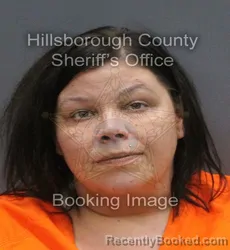 Mugshot of KRISTINA SHAREE AWASHRA booked in Hillsborough County, Florida on June 8, 2026