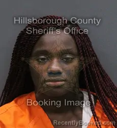 Mugshot of SHORETHALYNN GRAY-BETHEL booked in Hillsborough County, Florida on June 8, 2026