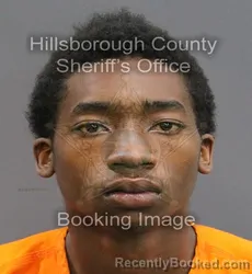 Mugshot of OMARIZE JAQUAN THOMAS booked in Hillsborough County, Florida on June 8, 2026