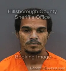 Mugshot of MAURICE EARL BARRETT booked in Hillsborough County, Florida on June 8, 2026