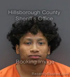 Mugshot of ISAIAH SHAWN FOREMAN booked in Hillsborough County, Florida on June 9, 2026