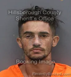 Mugshot of HECTOR III REYES booked in Hillsborough County, Florida on June 9, 2026