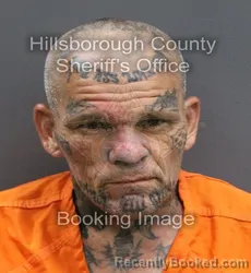 Mugshot of RONALD SHELDON REGISTER booked in Hillsborough County, Florida on June 9, 2026