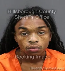 Mugshot of CHAD EDWARD JR WATSON booked in Hillsborough County, Florida on June 9, 2026
