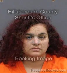 Mugshot of AMANDA NICOLE NOUEL booked in Hillsborough County, Florida on June 9, 2026