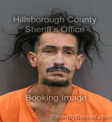 Mugshot of PEDRO ANTONIO ARCHILLA booked in Hillsborough County, Florida on June 9, 2026