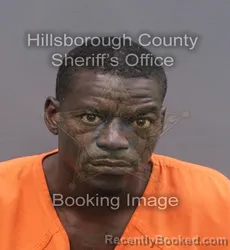 Mugshot of EMMIT TEE III ANDERSON booked in Hillsborough County, Florida on June 9, 2026