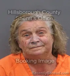 Mugshot of MARY ANN MIGNOGNA booked in Hillsborough County, Florida on June 9, 2026