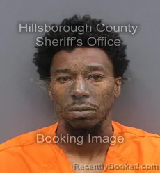 Mugshot of DONTAVIOUS RESHAE JR WILSON booked in Hillsborough County, Florida on June 9, 2026