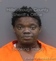 Mugshot of ANIYA SHAKALE SHAZER booked in Hillsborough County, Florida on June 9, 2026
