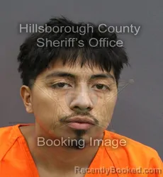 Mugshot of ANTONY SANCHEZ booked in Hillsborough County, Florida on June 9, 2026