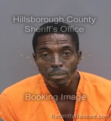 Mugshot of DARRYL RASHAD COARD WINGO booked in Hillsborough County, Florida on June 9, 2026